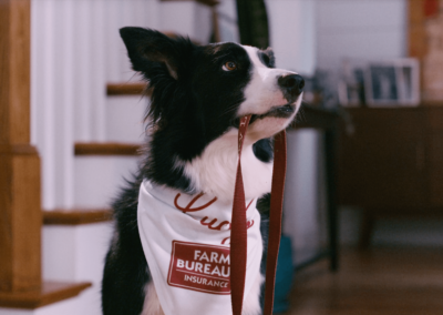 Georgia Farm Bureau  // Lucky